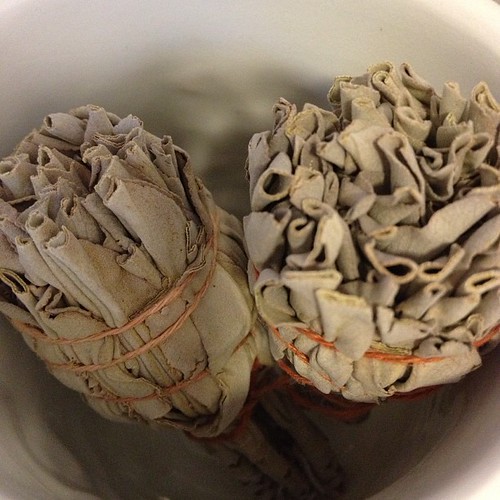 White sage smudge bundle